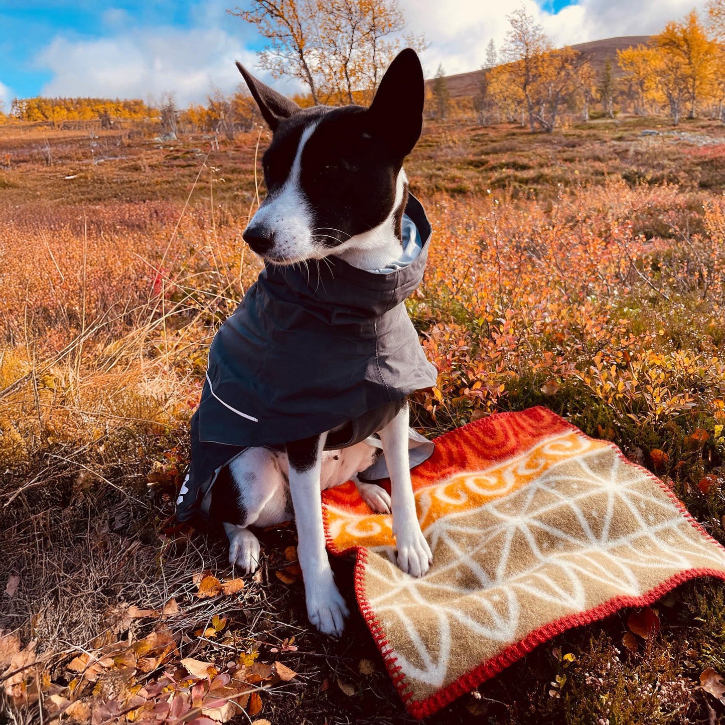 Uppsala sittunderlag